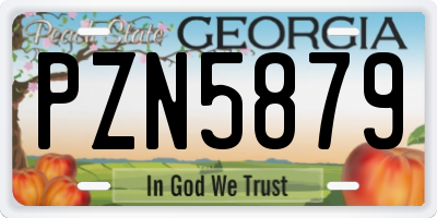 GA license plate PZN5879