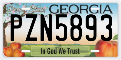 GA license plate PZN5893