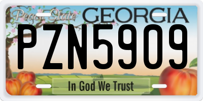 GA license plate PZN5909