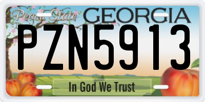 GA license plate PZN5913