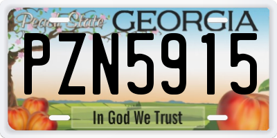 GA license plate PZN5915