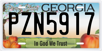 GA license plate PZN5917