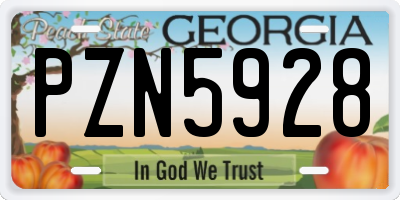 GA license plate PZN5928