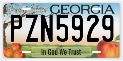 GA license plate PZN5929