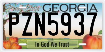 GA license plate PZN5937