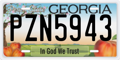 GA license plate PZN5943