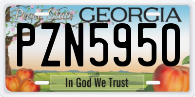 GA license plate PZN5950