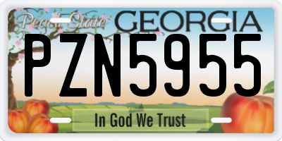 GA license plate PZN5955