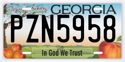 GA license plate PZN5958