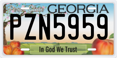 GA license plate PZN5959