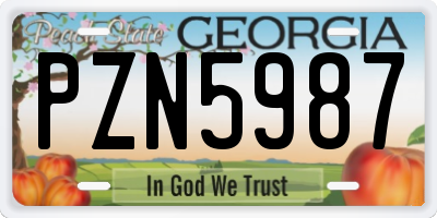 GA license plate PZN5987