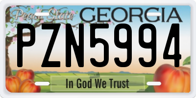 GA license plate PZN5994