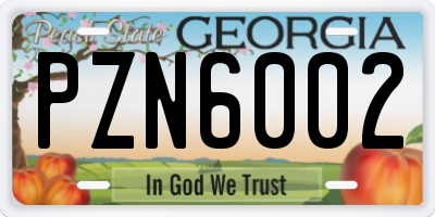 GA license plate PZN6002