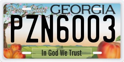 GA license plate PZN6003