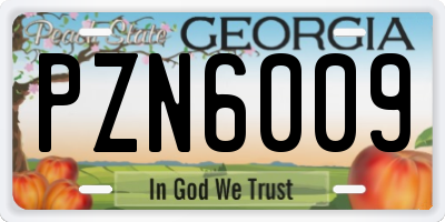 GA license plate PZN6009