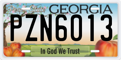 GA license plate PZN6013