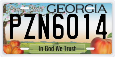 GA license plate PZN6014