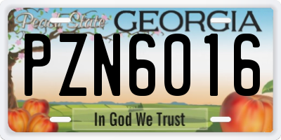 GA license plate PZN6016