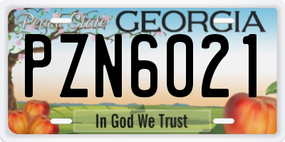 GA license plate PZN6021