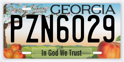 GA license plate PZN6029