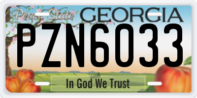 GA license plate PZN6033