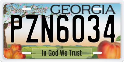 GA license plate PZN6034