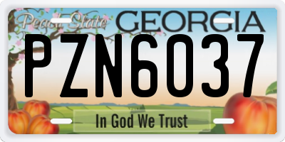 GA license plate PZN6037