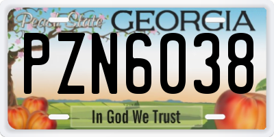 GA license plate PZN6038