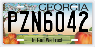 GA license plate PZN6042