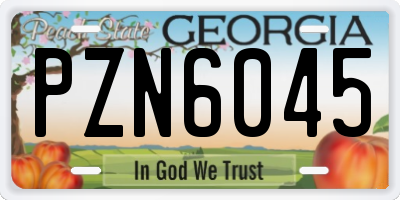 GA license plate PZN6045