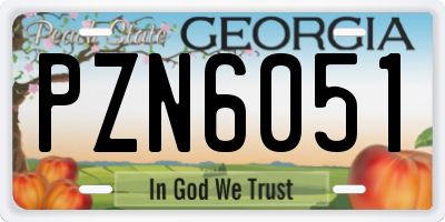 GA license plate PZN6051