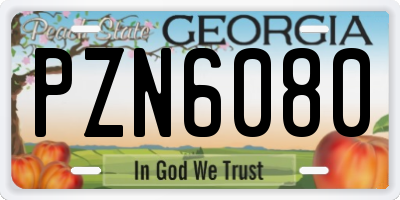 GA license plate PZN6080