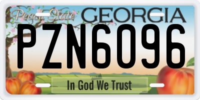 GA license plate PZN6096