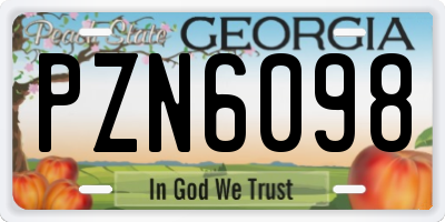 GA license plate PZN6098