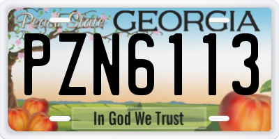 GA license plate PZN6113