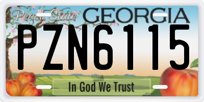 GA license plate PZN6115