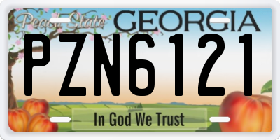 GA license plate PZN6121