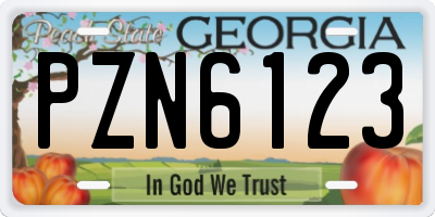 GA license plate PZN6123