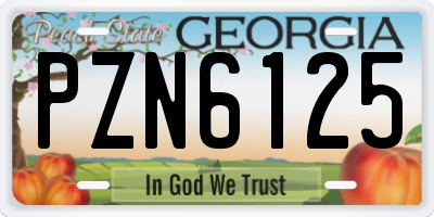 GA license plate PZN6125