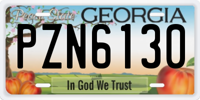 GA license plate PZN6130