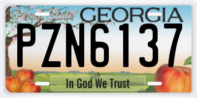 GA license plate PZN6137