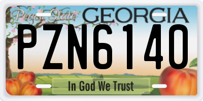 GA license plate PZN6140