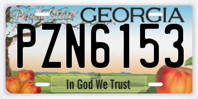GA license plate PZN6153