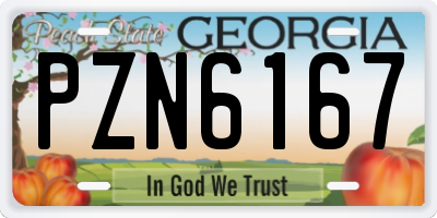 GA license plate PZN6167
