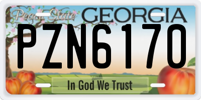 GA license plate PZN6170