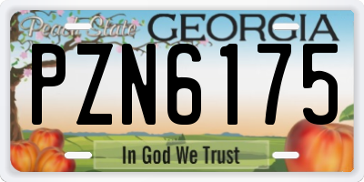 GA license plate PZN6175