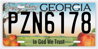 GA license plate PZN6178