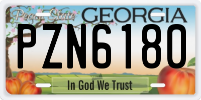 GA license plate PZN6180