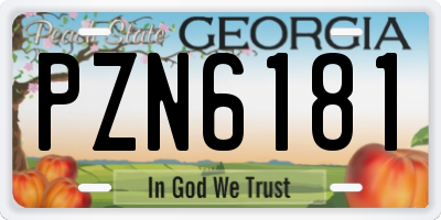 GA license plate PZN6181