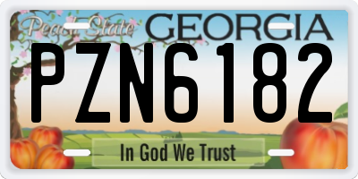 GA license plate PZN6182